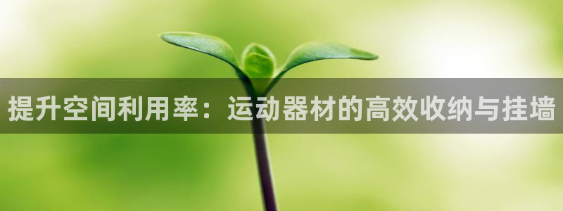 k1官方平台体育：提升空间利用率：运动器材的高效收纳与挂墙