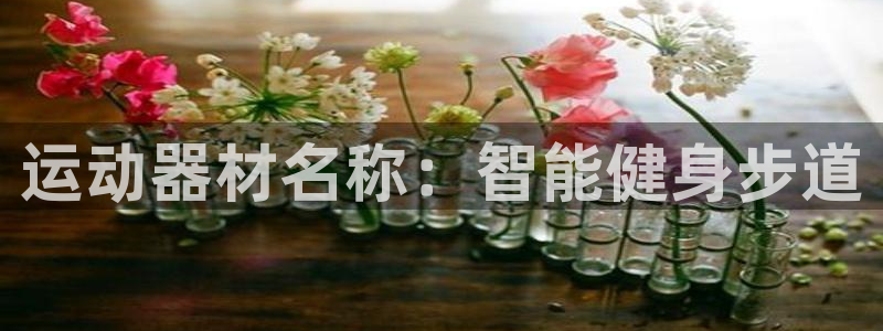 k1体育官网下载招商电话地址是多少：运动器材名称：智能健身步