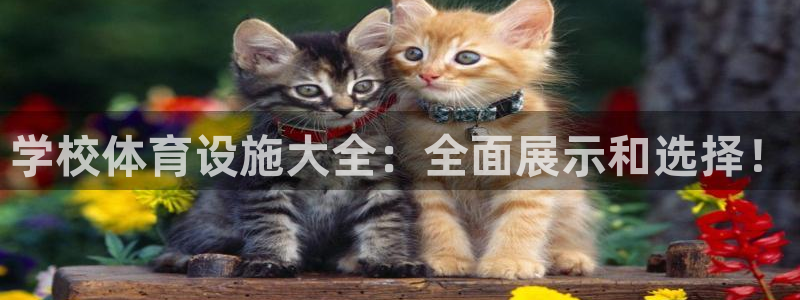 k1体育官网下载招商电话是多少号码