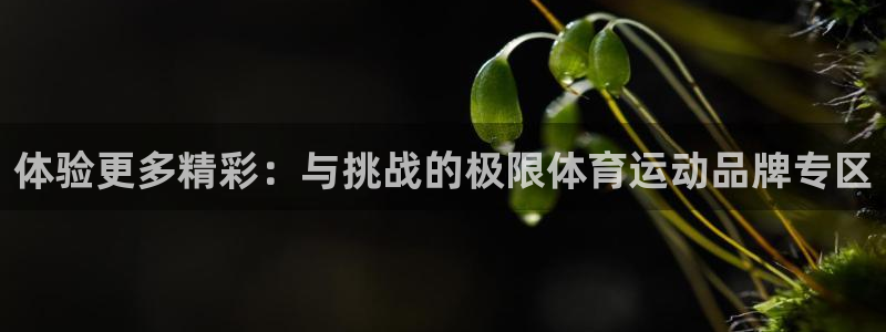 3377体育手机平台