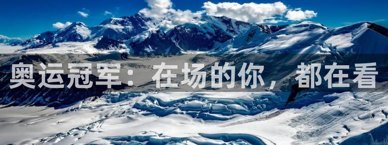 3377体育官网下载