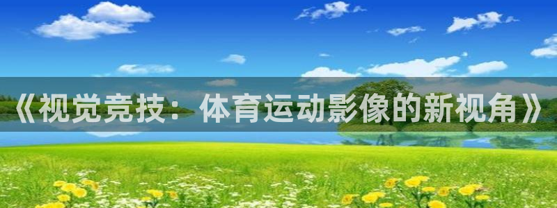 3377体育官网下载