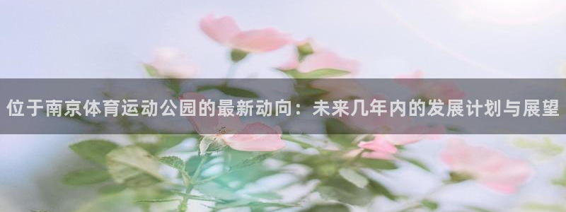 3377体育官网入口网页版
