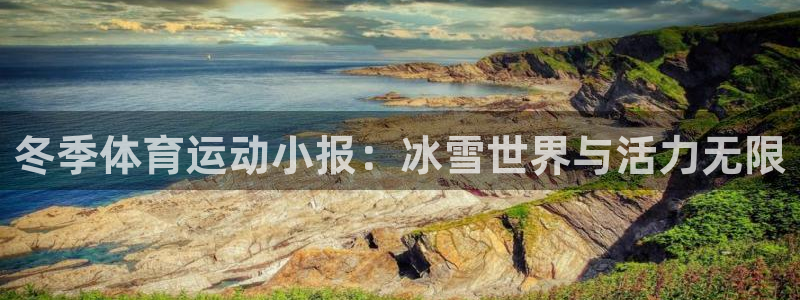 3377体育中国官方网站入口：冬季体育运动小报：冰雪世界与活力无限