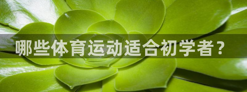 3377体育中国官方网站入口：哪些体育运动适合初学者？