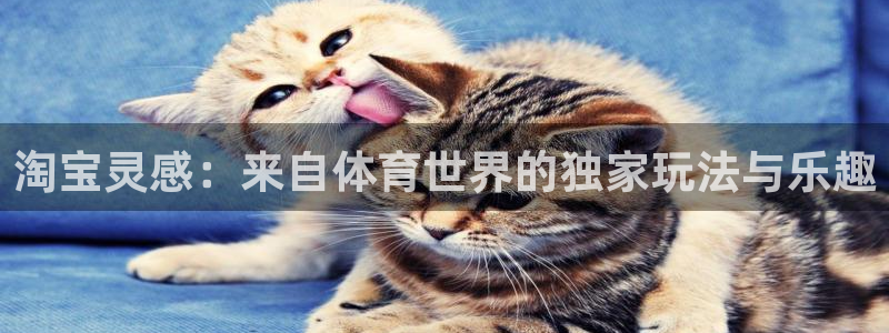3377体育中国官方网站入口：淘宝灵感：来自体育世界的独家玩法与乐趣