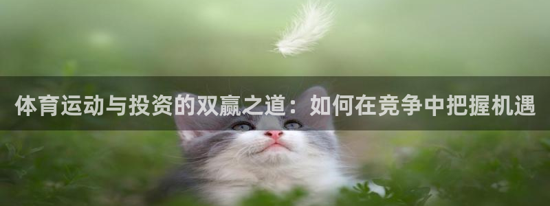 3377体育官网入口下载最新