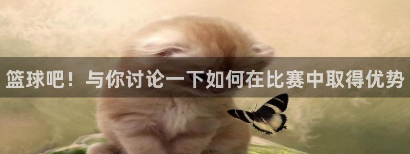 3377体育在线
