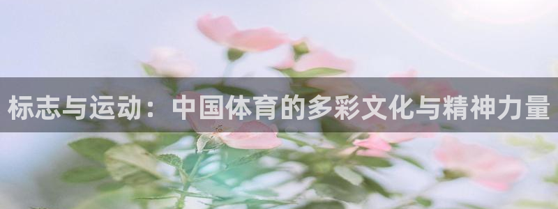 3377体育官网下载