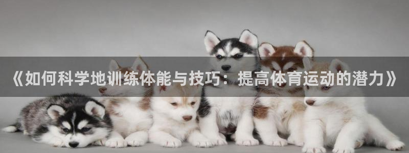 3377体育官网：《如何科学地训练体能与技巧：提高体育运动的潜力》