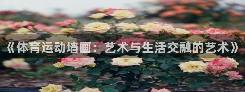 3377体育(中国)官方网站：《体育运动墙画：艺术与生活交融的艺术》