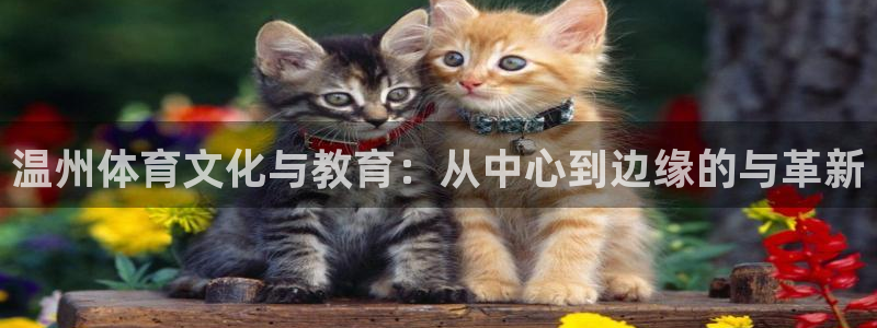 3377体育全网：温州体育文化与教育：从中心到边缘的与革新