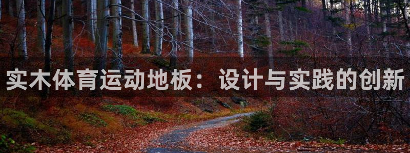 3377体育官网：实木体育运动地板：设计与实践的创新