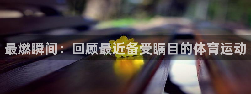 3377体育app官方下载：最燃瞬间：回顾最近备受瞩目的体育运动