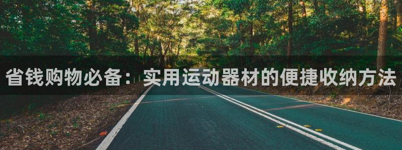 k1体育官方正版app新能源：省钱购物必备：实用运动器材的便