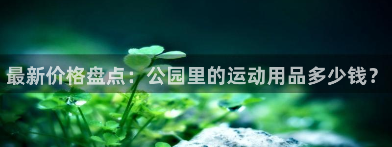 k1体育官网下载软件：最新价格盘点：公园里的运动用品多少钱？